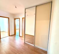 Zrekonštruovaný 3i byt na začiatku Petržalky, električka, les, výhľady - Izba s podlahou s dreveným dekorom a zrkadlovou vstavanou skriňou v 3-izbovom byte.