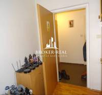 1 - izbový byt Košice, Popradská - Interiér 1-izbového bytu s figúrkami na skrinke a podlahou s dreveným dekorom.