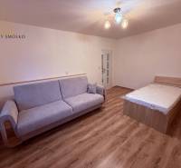 EXKLUZÍVNE: Štýlové bývanie v tichej lokalite Kanaša – po kompletnej r - Izba v rodinnom dome s pohovkou, posteľou a podlahou s dreveným dekorom.