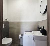 Tehlová novostavba s bazénom a terasou – Geča pri Košiciach - Kúpeľňa v rodinnom dome s toaletou, umývadlom a práčkou.