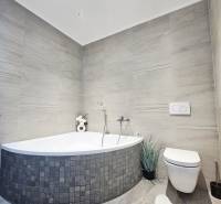 Tehlová novostavba s bazénom a terasou – Geča pri Košiciach - Kúpeľňa s rohovou vaňou, obklad v sivých tónoch, dekoratívne rastliny a WC.