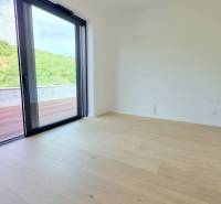 LUXUSNÝ 3i byt,PARKING,CHLADENIE,TERASA,Grand Koliba, Frankovská ulica - Izba v 3-izbovom byte s drevenou podlahou a výhľadom na zelený exteriér.