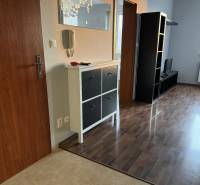 Prenájom 2-izb byt v uzavretom areáli Bratislava II - Predsieň v 2-izbovom byte s podlahou s dreveným dekorom a nábytkom.