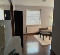 Prenájom 2-izb byt v uzavretom areáli Bratislava II - Obývacia izba 2-izbového bytu s podlahou s dreveným dekorom, pohovkou a kobercom.