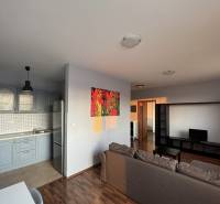 Prenájom 2-izb byt v uzavretom areáli Bratislava II - Obývacia izba s kuchyňou v 2-izbovom byte. Sedačka, televízia, kuchynská linka, podlaha s dreveným dekorom.
