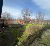 PREDAJ - 3-izbový rodinný dom po kompletnej interiérovej rekonštrukcii - Záhrada pri rodinnom dome v Šuranoch, na ulici Na Vŕšku, s ovocnými stromami.