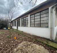 PREDAJ - Rodinný dom na rekonštrukciu s veľkým pozemkom – Kuraľany - Rodinný dom v Kuraľanoch s veľkými oknami a listnatou záhradou v jesennom období.