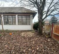 PREDAJ - Rodinný dom na rekonštrukciu s veľkým pozemkom – Kuraľany - Rodinný dom v Kuraľanoch so stromami a listami na zemi, vedľa starého plotu.