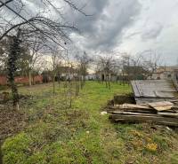 PREDAJ - Rodinný dom na rekonštrukciu s veľkým pozemkom – Kuraľany - Záhrada pri rodinnom dome v Kuraľanoch, s ovocnými stromami a drevenými panelmi.