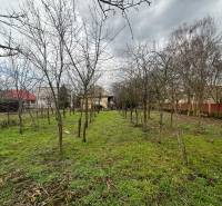 PREDAJ - Rodinný dom na rekonštrukciu s veľkým pozemkom – Kuraľany - Rodinný dom v Kuraľanoch s rozľahlou záhradou a ovocnými stromami.