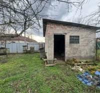 PREDAJ - Rodinný dom na rekonštrukciu s veľkým pozemkom – Kuraľany - Záhrada s menšou kôlňou a úľmi v rodinnom dome v Kuraľanoch.