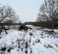 PREDAJ - Rodinný dom v obci Kamenica nad Hronom – len 5 km od Štúrova - Zasnežená záhrada v Kamenici nad Hronom pri rodinnom dome s holými stromami a krovím.