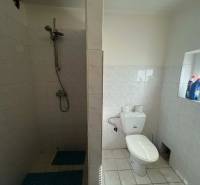 PREDAJ - Zrekonštruovaná rekreačná chata - Chľaba - Kúpeľňa v chate s dlažbou a sprchovacím kútom.