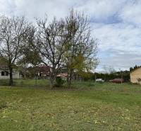 Stavebný pozmok s možnosťou delenia..Výhodná cena 55,- Eur/m2! - Pozemky na bývanie v Budmericiach s trávnatým povrchom a stromami v pozadí.