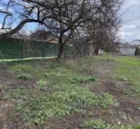 Na predaj pozemok 1065 m2, obec Dobrohošť v blízkosti Bratislavy - Pozemok v Dobrohošti na ulici Dobrohošť vhodný pre bývanie, ohraničený plotom a vegetáciou.