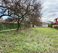 Na predaj pozemok 1065 m2, obec Dobrohošť v blízkosti Bratislavy - Záhrada s trávnikom a stromami v Dobrohošti na ulici Dobrohošť, vhodná pre pozemky - bývanie.