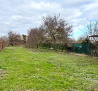 Na predaj pozemok 1065 m2, obec Dobrohošť v blízkosti Bratislavy - Pozemok na bývanie v Dobrohošti obklopený stromami na ulici Dobrohošť.