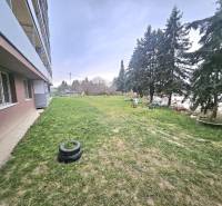 3 izbový byt Bánovce nad Bebravou 67 m2 / 3x BALKÓN / PIVNICA / - Exteriér 3-izbového bytu v Bánovciach nad Bebravou s trávnikom a stromami.