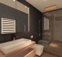 EXKLUZÍVNE: Celé podlažie v centre Piešťan s projektom apartmánov - Kúpeľňa s podlahou s dreveným dekorom, umývadlom, zrkadlom a sprchovým kútom v budove.