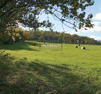 Predaj, pozemok pre rodinný dom   1000 m2 Horný Tiso... - Zelené pozemky na bývanie v Hornom Tisovníku so stromami a balíkmi sena na lúke.