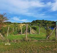 Oplotený obrábaný vinohrad so studňou a kontajnerom. - Vinice a zeleň na Rekreačných pozemkoch na Fajgalskej ceste v Pezinku.