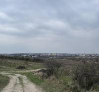 Oplotený obrábaný vinohrad so studňou a kontajnerom. - Prírodná cesta medzi vinicami na Rekreačných pozemkoch pri Pezinku na Fajgalskej ceste.