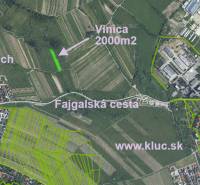 Oplotený obrábaný vinohrad so studňou a kontajnerom. - Letecký pohľad na vinicu 2000m2 pri Fajgalskej ceste v Pezinku.