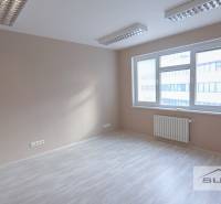  	 Bez Provízie | Kancelária 17m2 | Paulínyho ulica | Bratislava - Prázdna kancelária s podlahou s dreveným dekorom, veľkým oknom a osvetlením na strope.