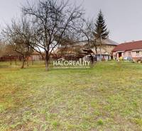 Predaj, rodinný dom Rimavská Sobota, Čerenčianska - ... - Záhrada rodinného domu v srdci Rimavskej Soboty s ovocnými stromami a priestranným dvorom.