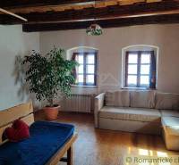 Zrekonštruovaný dom pri potoku v podhorí Veľkej Fatry - Pohovka a rastlina v obývačke rodinného domu s podlahou s dreveným dekorom.