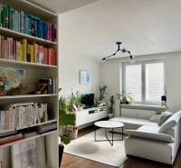 Prenájom 2,5 izbový byt, Trenčianska ulica, Bratislava II. Ružinov - Obývačka v 2-izbovom byte s knihovnicou, pohovkou a oknom, podlaha s dreveným dekorom.