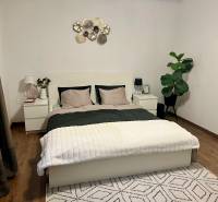 Prenájom 2,5 izbový byt, Trenčianska ulica, Bratislava II. Ružinov - Spálňa s posteľou, dvoma nočnými stolíkmi a rastlinou v 2-izbovom byte.