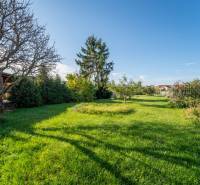 RD PO REKONŠTRUKCII spolu so STAVEBNÝM POZEMKOM na druhý dom - takmer  - Záhrada s trávnikom a stromami pri rodinnom dome na Kupeckého ulici v Pezinku.