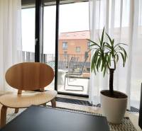 Komfortne vybavený 2-izbový byt v projekte 2 Sýpky - Interiér 2-izbového bytu s podlahou s dreveným dekorom, izbovou rastlinou a terasou.