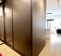 Komfortne vybavený 2-izbový byt v projekte 2 Sýpky - Interiér 2-izbového bytu s podlahou s dreveným dekorom a vstavanou skriňou.