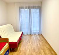 I 3 i byt s parkovaním v rezidenčnom komplexe METROPOLIS - Izba v 3-izbovom byte s pohovkou a podlahou s dreveným dekorom.