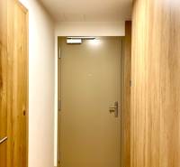 I 3 i byt s parkovaním v rezidenčnom komplexe METROPOLIS - Interiér 3-izbového bytu s podlahou s dreveným dekorom a bezpečnostnými dverami.