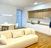 I 3 i byt s parkovaním v rezidenčnom komplexe METROPOLIS - Svetlá obývacia izba v 3-izbovom byte s podlahou s dreveným dekorom, jedálenským stolom a kuchyňou.