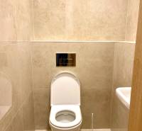 I 3 i byt s parkovaním v rezidenčnom komplexe METROPOLIS - Toaleta s béžovými obkladmi v 3-izbovom byte.