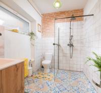 Na predaj zrekonštruovaný dom na Štefánikovej ulici, Trenčín - Kúpeľňa v rodinnom dome s farebnými dlaždicami, sprchovým kútom a rastlinou.