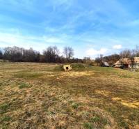 Na predaj POZEMOK na výstavbu rodinného domu - 3346 m², Kečkovce - Pozemky - bývanie v Kečkovciach s vidieckym charakterom a historickým pivničným vstupom.