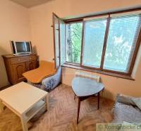 Pôvodný domček v obci Nová Vieska - Obývacia izba s TV, veľkým oknom a podlahou s dreveným dekorom v rodinnom dome.