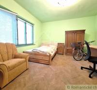 Pôvodný domček v obci Nová Vieska - Izba so zelenými stenami obsahuje posteľ, pohovku, skriňu a bicykel na podlahe s dreveným dekorom.