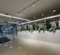 PRENÁJOM exkluzívnych priestorov 318 m2 TECHNOPOL, Kutlíkova ul. - Rastliny na mriežkovanej stene v obchodných priestoroch s lesklou podlahou.