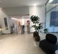 PRENÁJOM exkluzívnych priestorov 318 m2 TECHNOPOL, Kutlíkova ul. - Interiér obchodných priestorov s turniketmi, kvetmi a moderným nábytkom na podlahe s dekorom.