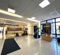 PRENÁJOM exkluzívnych priestorov 318 m2 TECHNOPOL, Kutlíkova ul. - Interiér obchodných priestorov s recepciou, stolmi, kávovarom a rastlinami.