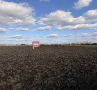 INVESTIČNÁ PRÍLEŽITOSŤ – Pozemok v obci Dunajská Lužná - Oraná pôda pod oblohou na poľnohospodárskych pozemkoch v Dunajskej Lužnej.