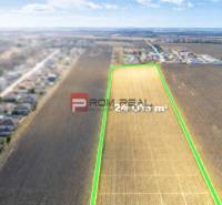 INVESTIČNÁ PRÍLEŽITOSŤ – Pozemok v obci Dunajská Lužná - Poľnohospodárske a lesné pozemky v Dunajskej Lužnej s parcelou o rozlohe 24015 m².