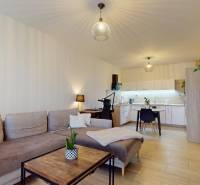 RADO I 2-izbový byt 49m² s terasou 71m² I Soblahov - Interiér 2-izbového bytu so sedačkou, kuchyňou a rastlinami, podlaha s dreveným dekorom.