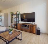 RADO I 2-izbový byt 49m² s terasou 71m² I Soblahov - Obývacia izba v 2-izbovom byte s podlahou s dreveným dekorom, nábytkom a televízorom.
